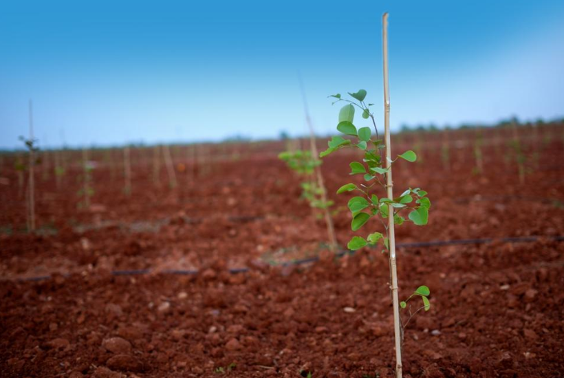 real estate template