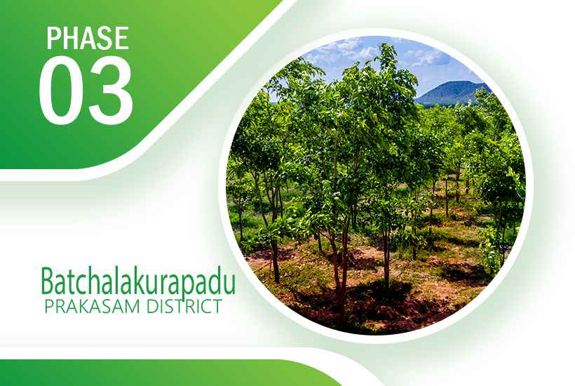 Navya Sai Projects